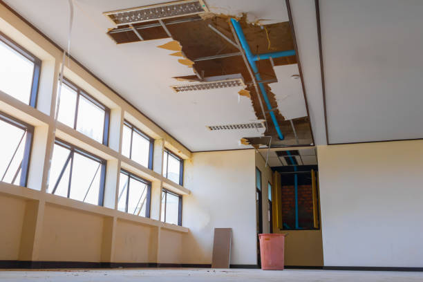 Best Water damage cleanup near me  in Salton City, CA