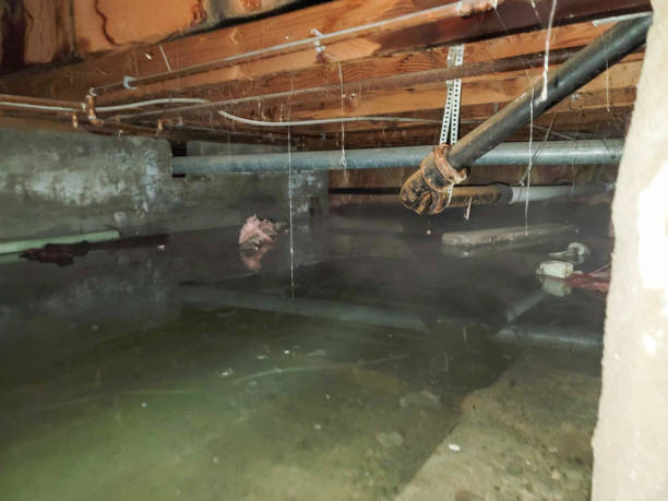 Best 24-hour water damage restoration  in Salton City, CA