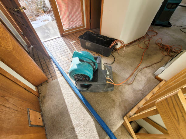 Best Local water damage restoration  in Salton City, CA