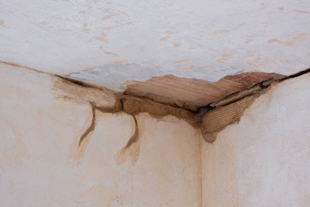Local water damage restoration in Salton City, CA
