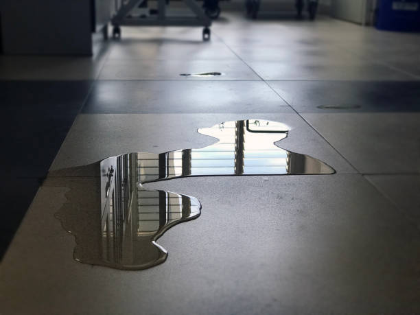 Best Water damage contractors near me  in Salton City, CA