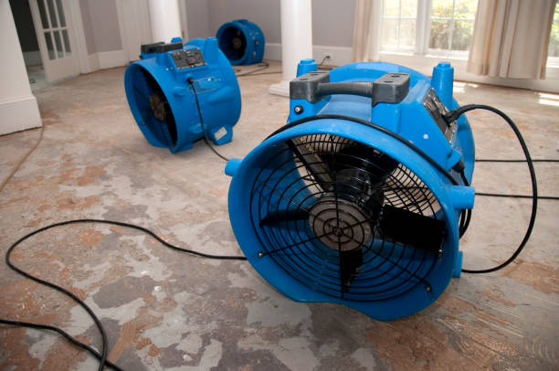 Best 24/7 water damage repair  in Salton City, CA