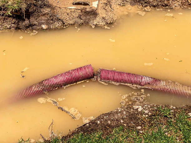 Professional Water damage restoration in Salton City, CA